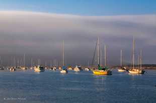 Morro Bay-6293.jpg Morro Bay-6293.jpg